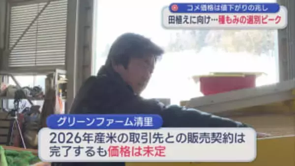 コメ価格は値下がりの兆し、種もみの選別ピークのコメ農家「暴落を懸念」理由は【新潟･上越市】