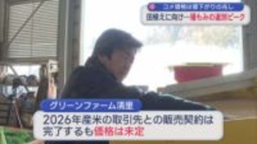 コメ価格は値下がりの兆し、種もみの選別ピークのコメ農家「暴落を懸念」理由は【新潟･上越市】