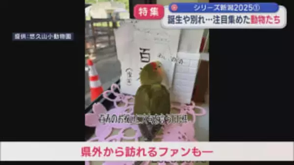 【特集】誕生や別れ、人間の生活をおびやかす動物の出没も･･･注目集めた動物たち：シリーズ新潟2025①【新潟】