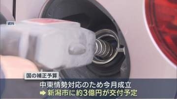 新潟・中原市長 交付金を活用した補正予算案を追加提案する考え示す：新潟市議会6月定例会【新潟】