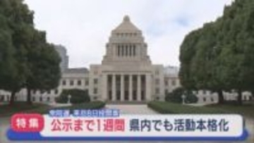 【特集｜衆院選】何を訴える？県内でも活動本格化：27日公示、2月8日投開票へ【新潟】