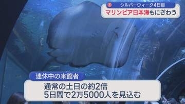 通常の土日の約2倍の人が来館 海の生き物たちと触れあい求め家族でにぎわう【新潟】