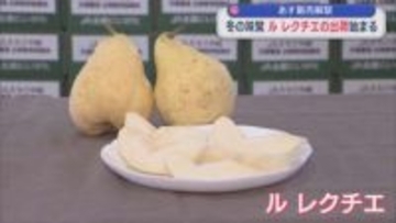 20日販売解禁！とろっと滑らかな食感 冬の味覚「ル レクチエ」の出荷始まる【新潟･加茂市】