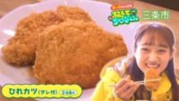 【新潟グルメ】火災で店舗消失のなか･･･奇跡的に残った“秘伝のタレ”を使った総菜屋さんの名物「ひれカツ」【三条市】