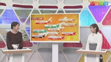 29日は貴重な晴れ間も空気ヒンヤリ、紅葉情報も【気象予報士が解説｜新潟】