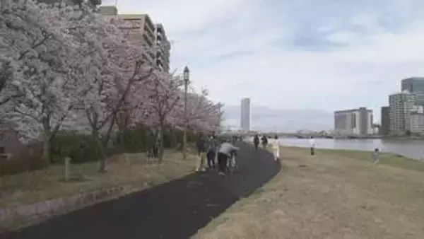 「めちゃくちゃ楽しい！」春の陽気  サクラは満開！ 新潟市の名所  家族連れなどでにぎわう【新潟】