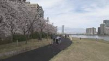 「めちゃくちゃ楽しい！」春の陽気にサクラ満開！ 新潟市の名所  家族連れなどでにぎわう【新潟】