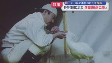 【特集】絶滅から繁殖･･･本州初のトキ放鳥「トキに感謝」関係者の思い【新潟】