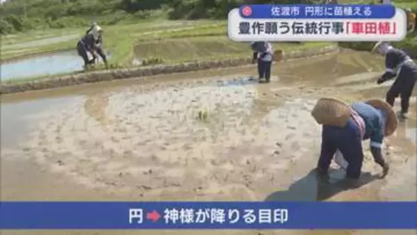 豊作願う伝統行事「車田植」神様が下りる目印〝円〟描くように苗植える【新潟･佐渡市】