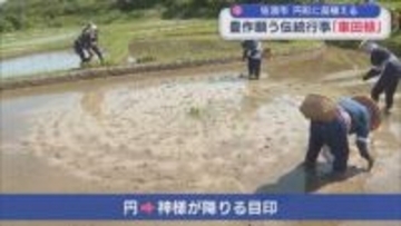 豊作願う伝統行事「車田植」神様が下りる目印〝円〟描くように苗植える【新潟･佐渡市】