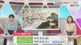 「2日も雨･･･今日よりもヒンヤリ、最新のサクラ満開予想も【気象予報士が解説｜新潟】」の画像1