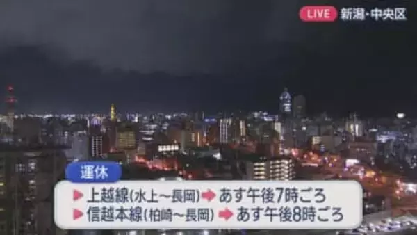 大雪のため 21日の列車の運休情報：JR発表【新潟】