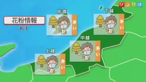 12日も各地で花粉飛散多い予想･･･週末に向け雲の多い天気に【これからの天気(3月11日18時40分現在)｜新潟】