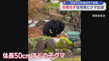 【クマ】加茂市の民家の床下に子グマ「ぞっとした」冬眠せず住宅地出没、新発田市でも【新潟】