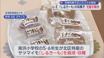 北区特産「しるきーも」を小学生が授業で栽培「完売するとうれしい」老舗和菓子店コラボの和菓子で魅力発信【新潟】