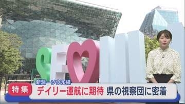 【特集】記者が韓国訪問に密着  新潟ーソウル線11年半ぶりに毎日運航「どう県内に波及していくか」【新潟】