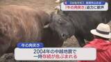 「1000年以上の歴史「牛の角突き」初場所迎え 観客約800人が迫力に歓声【新潟･長岡市山古志】」の画像1
