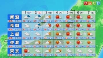 土曜は下越を中心に雨が強まりそう 浸水・土砂災害などに注意を：各地の詳しい天気【これからの天気(7月31日18時40分現在)｜新潟】
