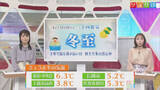「これから冬本番、大みそかまでの天気は？【気象予報士が解説｜新潟】」の画像1