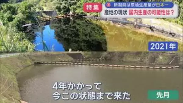 【特集】湧き出す原油･･･池が真っ黒だったあの場所、その後：新潟県は「原油」生産量が日本一【新潟】