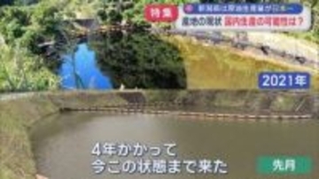 【特集】湧き出す原油･･･池が真っ黒だったあの場所、その後：新潟県は「原油」生産量が日本一【新潟】