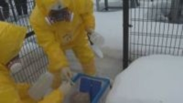 冬場の柏崎刈羽原発の事故想定  県が放射性物質の飛散確認する訓練【新潟】