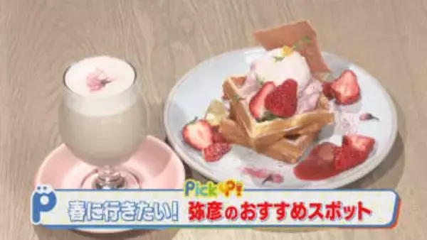 【新潟グルメ】四季の風景を一望しながら春を感じる「サクラと苺の絶品ワッフル」【弥彦村】