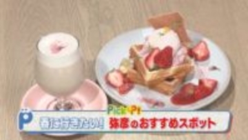 【新潟グルメ】四季の風景を一望しながら春を感じる「サクラと苺の絶品ワッフル」【弥彦村】