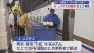 幻の西洋ナシ「ル レクチエ」解禁！消費拡大へ新幹線で出発【新潟】