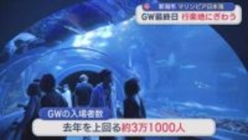 GW最終日「水族館」、見ごろを迎えた「大藤棚」行楽地にぎわう【新潟】