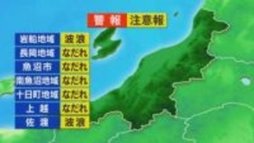 お花見日和！このあとも各地でよく晴れ 夜桜も楽しめそう【これからの天気(4月8日11時40分現在)｜新潟】
