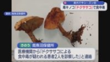 野生の毒キノコ「ドクササコ」家族4人が食中毒、うち1人が入院：県内で今シーズン初【新潟･南魚沼市】