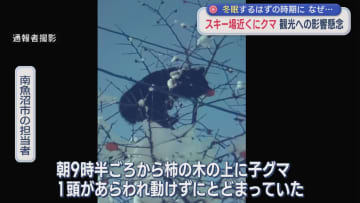 眠らないクマ･･･スキー場近くに出没「人間を70年以上やっていて初めて」観光への影響懸念【新潟】