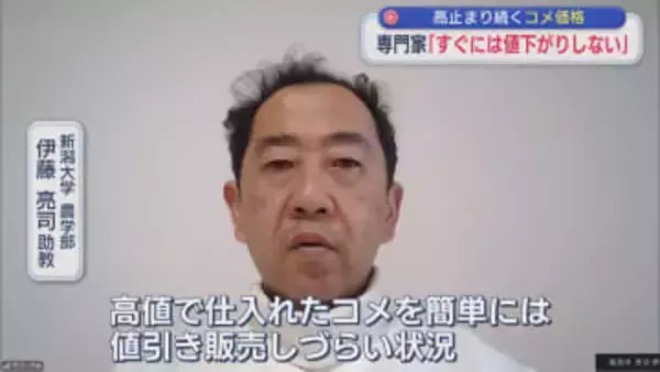 【コメ】高止まり続くコメ価格に専門家「すぐには値下がりしない」【新潟】