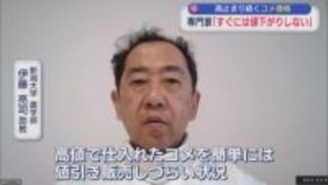 【コメ】高止まり続くコメ価格に専門家「すぐには値下がりしない」【新潟】