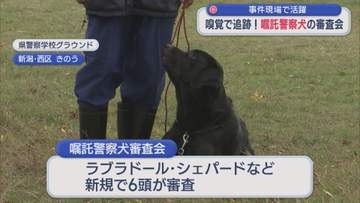 嗅覚で追跡！「嘱託警察犬」審査会にシェパードなど6頭が参加【新潟】