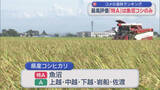 「県産コシヒカリでは「魚沼」が8年連続で最高評価「特A」を獲得：コメの食味ランキング【新潟】」の画像1