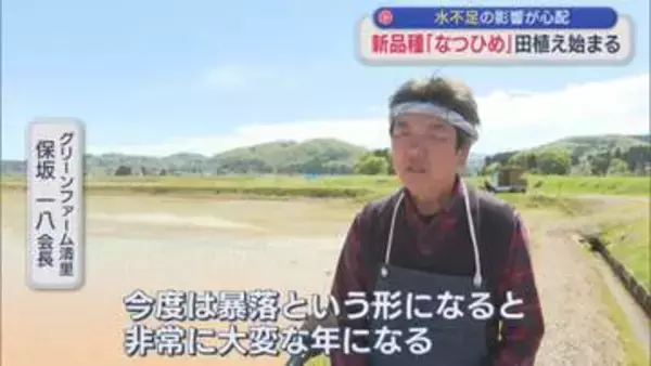 新品種「なつひめ」田植え始まる 水不足の影響が心配【新潟･上越市】