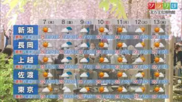 7日は朝晩と日中の寒暖差が大きくなりそう、服装で調整を【これからの天気(5月6日18時40分現在)｜新潟】