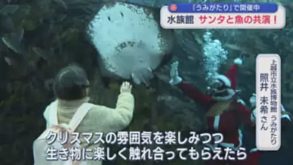 水族館の魚にサンタからプレゼント！「暖かい館内でクリスマスを」親子連れでにぎわう【新潟･上越市】