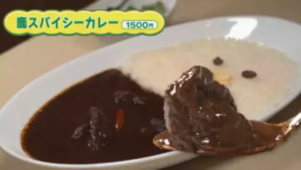 【新潟グルメ】強烈！激辛好き必見！「真っ黒な鹿肉カレー」【新潟・中央区本町通】