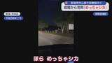「暗闇から突然「めっちゃシカ」新潟市中心部で目撃相次ぐ【新潟】」の画像1