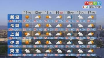 11日は各地夏日に、土日は各地で晴れて 真夏日に迫る暑さに【これからの天気(6月10日18時40分現在)｜新潟】