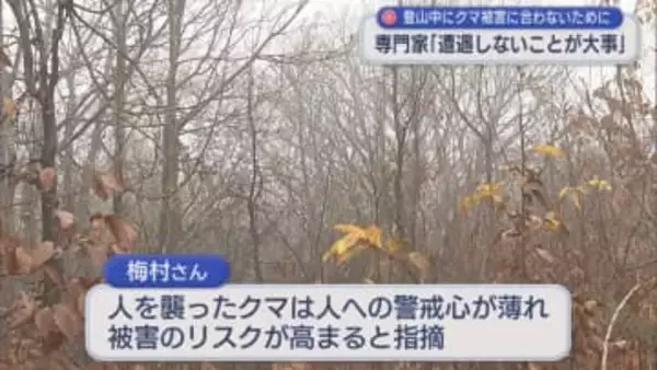 この時期 山でクマとの遭遇リスク高まる「いまはもう冬眠に向けて山に帰っていく時期」専門家が指摘【新潟】