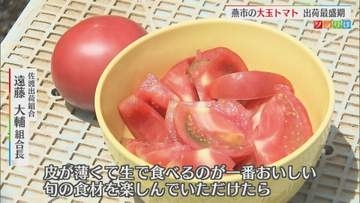 皮が薄く甘みとほどよい酸味が特徴 燕市の「大玉トマト」出荷最盛期【新潟】
