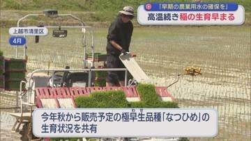 高温続き･･･稲の生育早まる「早期の農業用水の確保を」県やJAが対策会議【新潟】