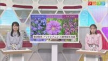 7日も気温上昇「夏日に」紫外線が強まる時期に多く咲く花の色は？【気象予報士が解説｜新潟】