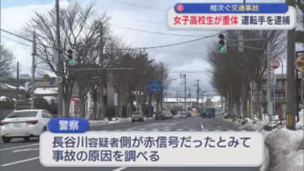 女子高校生が車にはねられ意識不明の重体「信号をよく見ず分かりませんでした」運転手を現行犯逮捕【新潟】