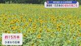 「津南町で15万本のひまわりが見ごろ、県内9地点で猛暑日 熱中症の疑いで24人搬送【新潟】」の画像1