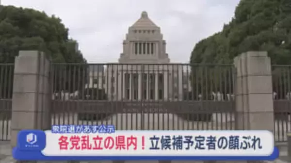 【衆院選｜新潟1区】過去最多5人が出馬予定、各党乱立の県内！他選挙区の顔ぶれも紹介【新潟】